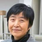 Prof. Dr. Yuko Ohno avatar image