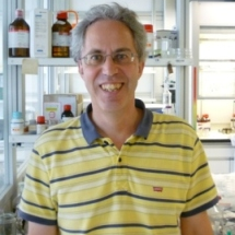 Dr. Walter Remo Caseri avatar image