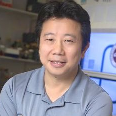 Prof. Dr. Hengli Tang avatar image