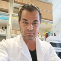 Prof. Dr. Raffaele Conte avatar image