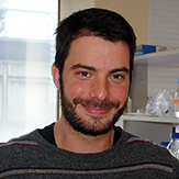 Dr. Will Norton avatar image