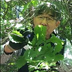 Prof. Dr. Choonsig Kim avatar image