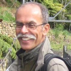 Prof. Dr. Domenico Calcaterra avatar image