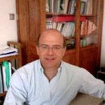 Prof. Dr. Armando Carravetta avatar image