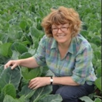 Prof. Dr. Rosemary Collier avatar image