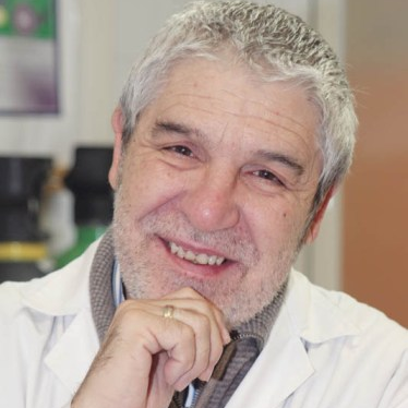 Prof. Dr. José Miguel Martín Martínez avatar image