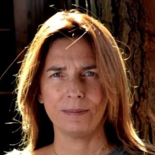 Prof. Dr. M. Lucia Curri avatar image