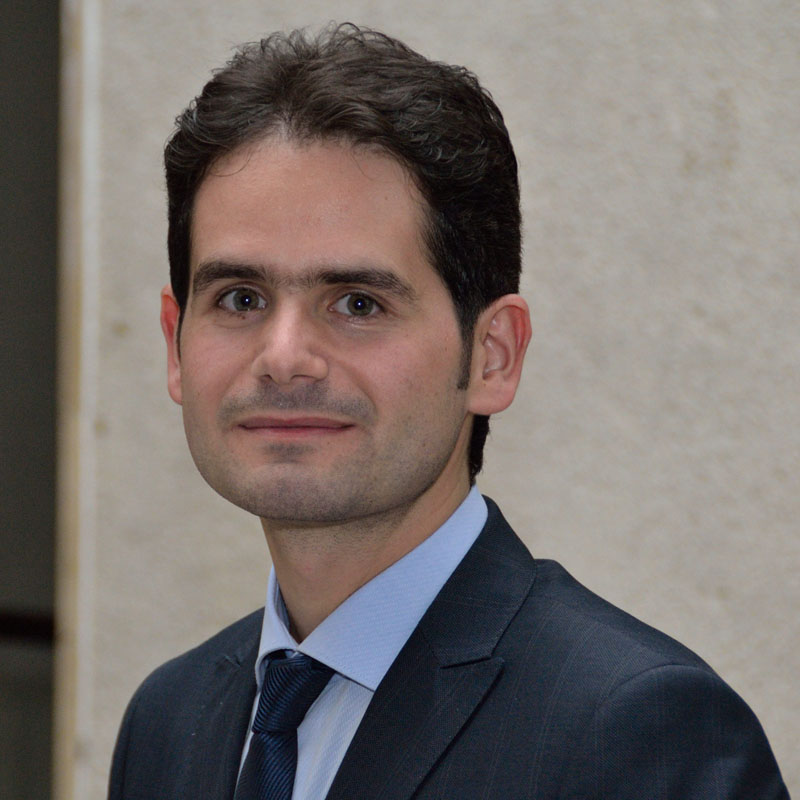 Dr. Flavio Esposito avatar image