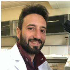 Dr. Gioele Capillo avatar image