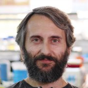 Prof. Dr. Diego F. Romero Hinojosa avatar image