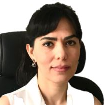 Dr. Sona Taheri avatar image