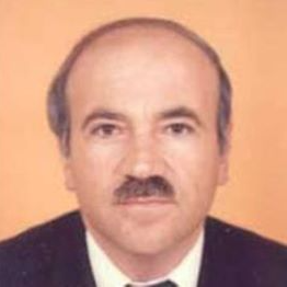 Prof. Dr. Ioannis Stavroulakis avatar image