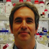 Dr. Gualtiero Alvisi avatar image