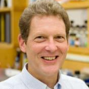 Prof. Dr. Michael Timko avatar image