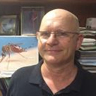 Prof. Dr. Roy A. Hall avatar image