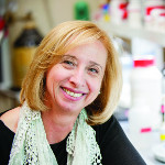 Prof. Dr. Jocelyne DiRuggiero avatar image