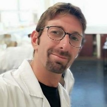 Dr. Manfredi Saeli avatar image