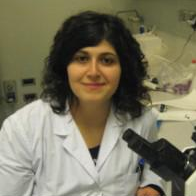 Dr. Enza Di Gregorio avatar image