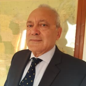 Prof. Angelo Luongo avatar image