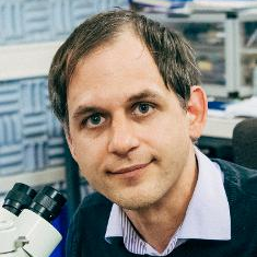 Dr. Christoph Gammer avatar image