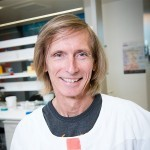 Prof. Dr. Nicholas K. Hayward avatar image