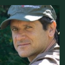 Prof. Dr. Stefano Lupi avatar image