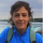 Prof. Dr. Maria José Afonso avatar image