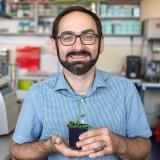 Dr. Pecinka Ales avatar image