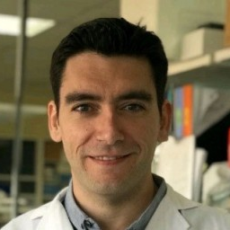 Dr. Juan Antonio Moreno avatar image