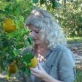 Dr. Ute Albrecht avatar image