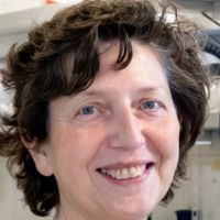 Prof. Dr. Patrizia Longone avatar image