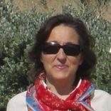 Prof. Dr. Maria Adelaide Araújo Almeida avatar image