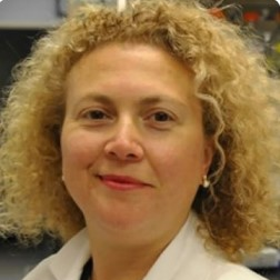 Dr. P. Hande Ozdinler avatar image