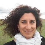 Dr. Palma Chillón Garzón avatar image