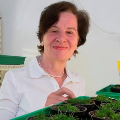 Prof. Dr. Dorothea Bartels avatar image