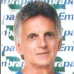 Prof. Dr. Antônio Heriberto de Castro Teixeira avatar image