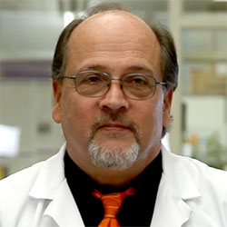 Prof. Dr. David R. Wallace avatar image