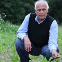 Prof. Dr. Masoud Hashemi avatar image