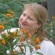 Dr. Vera A. Krischik avatar image