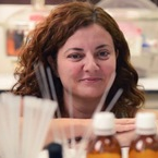 Prof. Dr. Verónica Pino avatar image