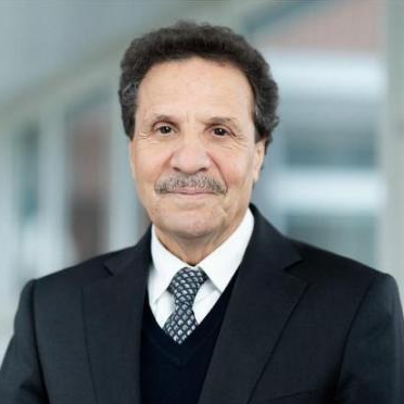 Prof. Dr. Mohammed Es-Souni avatar image