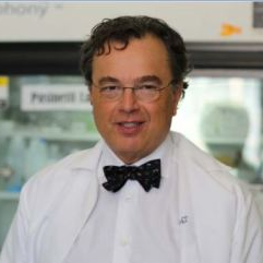 Prof. Dr. Giulio Pasinetti avatar image