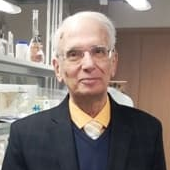 Prof. Dr. Alexander Rapoport avatar image