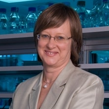 Prof. Julie Bines avatar image