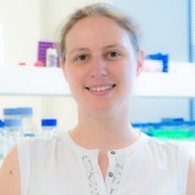 Dr. Celeste Donato avatar image