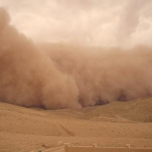 Dr. Stephanie Fiedler avatar image