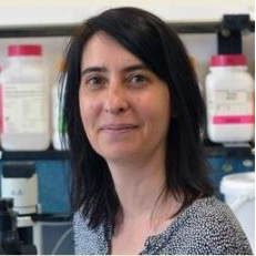 Dr. Veronica Dodero avatar image