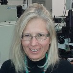 Dr. Andreja Gajović avatar image