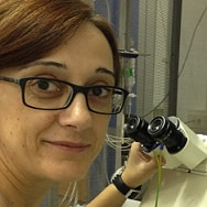 Dr. Lourdes Rubio avatar image