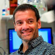 Dr. William Bourguet avatar image